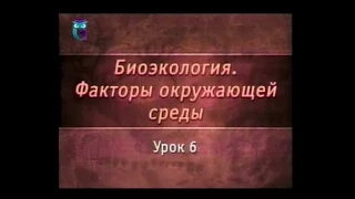 Биоэкология. Урок 6. Температура. Возможна ли жизнь при +90 ºС и -270 ºС?