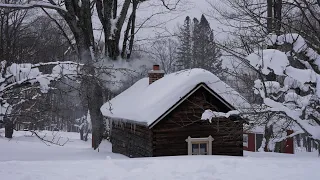 Traditional Finnish Log Sauna | National Sauna Week