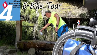 E-Bike Bodensee Genfersee Alpenpanoramaroute 4 Tag