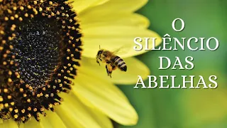 Documentário - O silêncio das abelhas ( legendado )