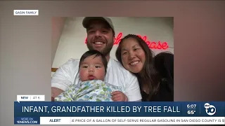 'Indescribable grief': Lemon Grove infant, grandfather killed by tree fall