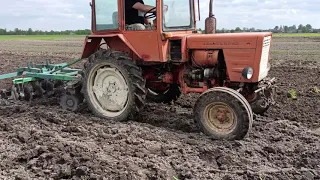 МТЗ - 80 орає Т-25 з дисками відразу поле рівняє. Гарний результат виходить.