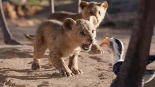 Lion King 2019 - I Just Can't Wait To Be King (Hebrew)