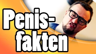 Top 10 Fakten über den Penis