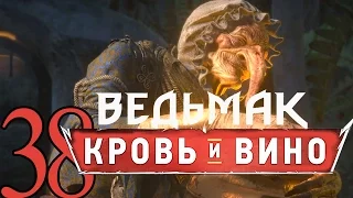 38-ВЕДЬМАК ДИКАЯ ОХОТА DLC КРОВЬ И ВИНО прохождение обзор [БАБА-ЯГА] русский