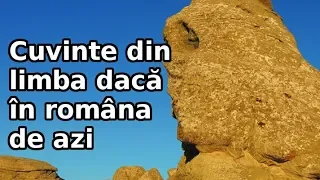 Câte cuvinte din limba dacă folosim în româna de azi? | Lumea Sub Lupă