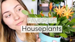 My Favorite Indoor Plants Spring 2018 | Favorite Houseplants