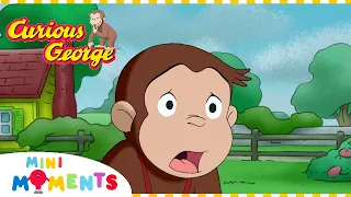 Curious George, Sheep Herder | Curious George | Episode Clip | Mini Moments