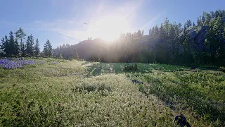 [4K] Red Dead Redemption 2 ➤ RT Graphics | Pushing the Limits of My RTX3080TI! | ReShade MOD