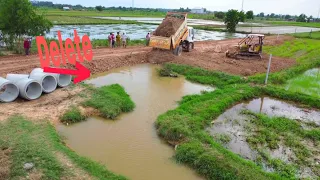 Today Update Project Dozer and Many Truck Woking Build Road to Filling Land To Make a House