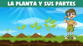 LAS PLANTAS y sus partes para niños 🌵 🌿 | Videos educativos