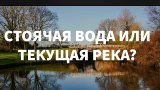 СТОЯЧАЯ ВОДА