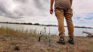 Конь, на живца, лещ на кукурузу 🐟