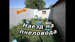 Крутой наезд пчеловодов