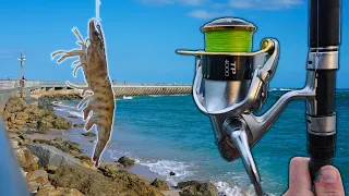 Pier Fishing: Live Bait Hooks a Record Catch!