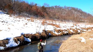 Fly Fishing Spring Creeks | Stream Review | Iowa Driftless Region | Clear Creek Trout Fishing