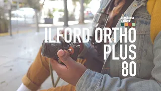 EPS//01 | ILFORD ORTHO PLUS 80 | CanonA1 | @grandassagallery