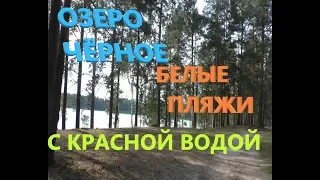 Озеро Чёрное.  Покров.  Чудесное место для отдыха.  06. 2019