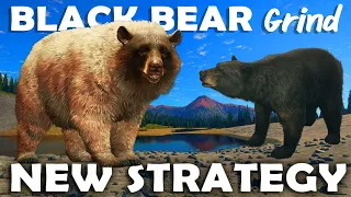 NEW STRATEGY is PERFECT for the BLACK BEAR Grind!!! - Call of the Wild