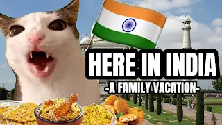 CAT MEMES: HERE IN INDIA PT.2