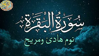 سورة البقرة 💚تلاوة قرآنية هادئة لنوم هادئ مريح خالى من التوتر والقلق