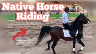 native horse riding |The best native horse riding ever held |Dainty horse