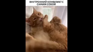 Сам себя бьёт 🤣🤣🤣🤣🤣