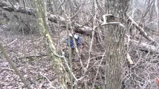 Aydan Marcus Burns gone Squatchin!