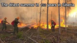 Drought ignites Siberia with the most intense fires in 150 years