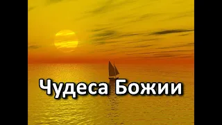 Чудеса Божии. Беседа. Проповедь. МСЦ ЕХБ.