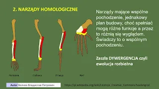 Dowody ewolucji.  Pośrednie dowody ewolucji. Ewolucja