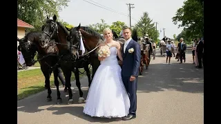 Lovas hintós esküvői kisfim - Bérdi Attila, esküvői videós