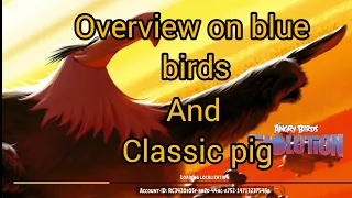 Overview on classic pig and blue birds Angry birds evolution(description if you can't understand)