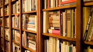 Smelly books: How to easily kill/remove mildew and mold spores