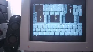 Prince of Persia Macintosh version original speed vs speed fix patch