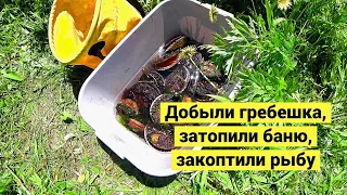 Добыли гребешка, затопили баню, закоптили рыбу // Catching and Cooking (Eng Subs)