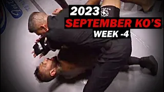 MMA & Boxing Knockouts I September 2023 Week 4
