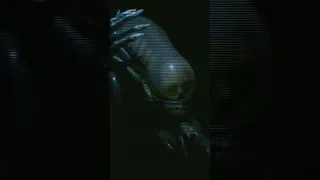Scary Xenomorph Alien Animatronic on The Great Movie Ride 👽😱