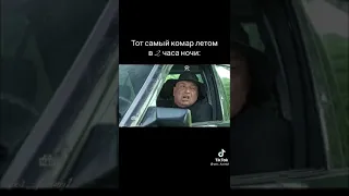 тот самый комар в 2 часа ночи летом