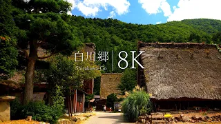 【白川郷 春夏秋冬】日本三大秘境の絶景を訪ねて - JAPAN in 8K