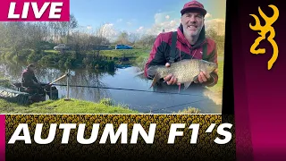 Match Fishing Live - Pole Fishing for F1's at Tunnel Barn Farm