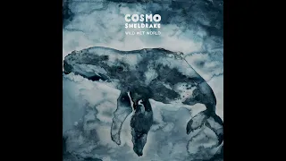 Cosmo Sheldrake - Benthos