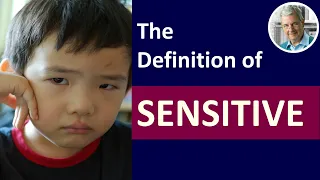 What is the Definition of SENSITIVE? (3 Picture Examples)