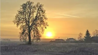 Эквинокс 900 лучше 800 го , однозначно