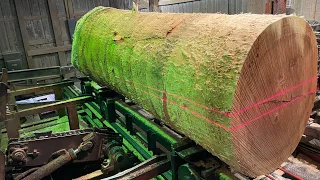 Saw-milling a 32 Inch Diameter Poplar Log! #38