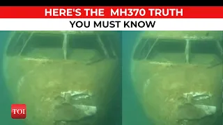 Malaysia Airlines Flight 370 Found After 9 Years? Photo Goes Viral on Social Media