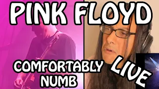 Musician Reacts To Pink Floyd Comfortably Numb Live! First Time Hearing PF Live!