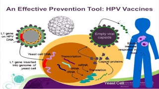 HPV Vaccine: Opportunities and Challenges Webinar