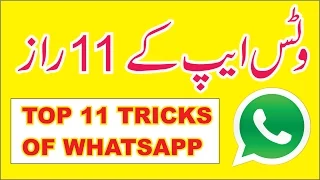 Top 11 new Tips and Tricks of WhatsApp