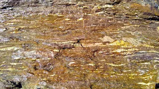 10 Minutes Relax - Sea water passing over a rock on the beach